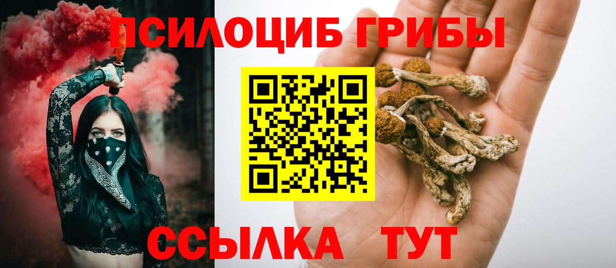 Курган  Галлюциногенные грибы Psilocybe  Вход с VPN  продажа наркотиков  Галлюциногенные грибы прущие грибы 